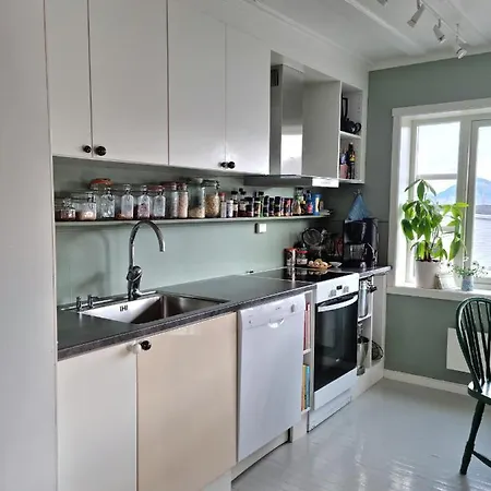 Koselig Leilighet Midt I Sentrum Apartmán *